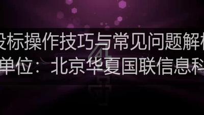 投标操作技巧与常见问题解析
